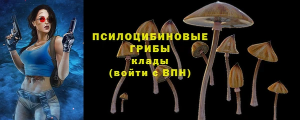 spice Абинск