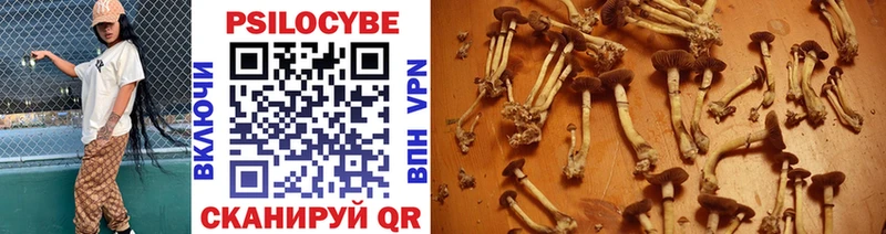 Галлюциногенные грибы Cubensis Сорск